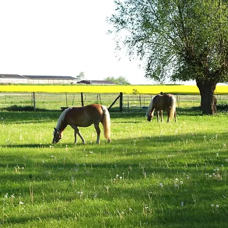 Koppelblick