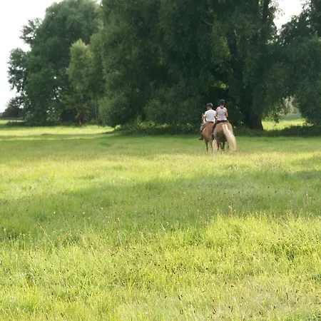 Koppelblick *